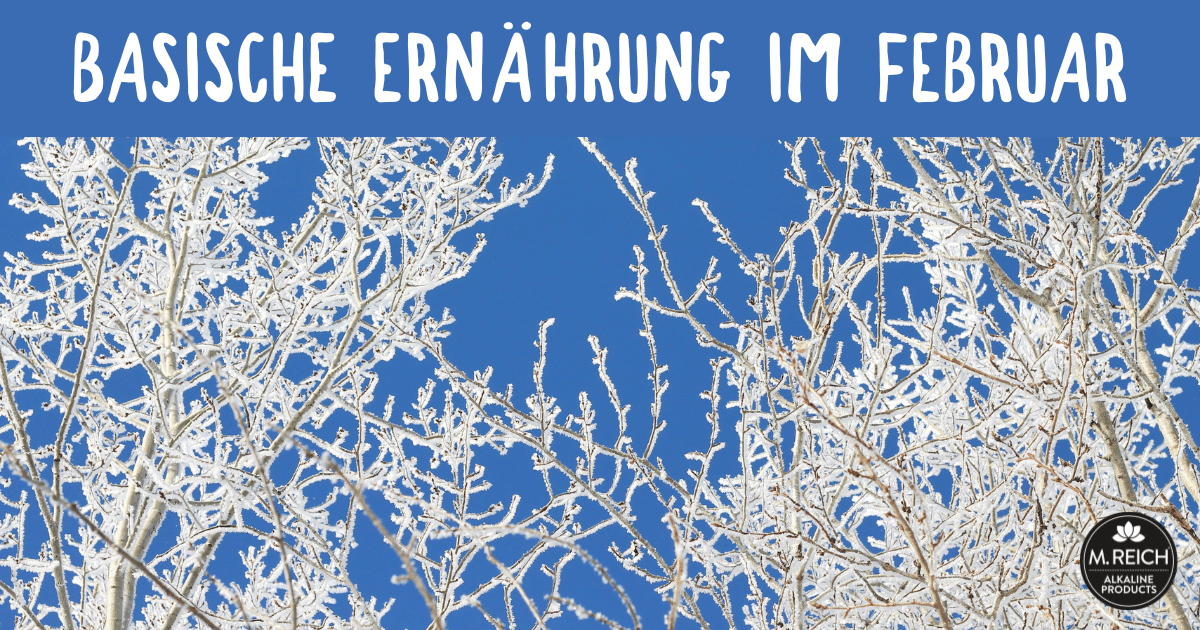 Basische Ernährung im Februar